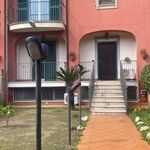 Affitto 5 camera casa di 280 m² in Bagno a Ripoli
