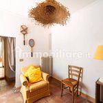 Rent 3 bedroom apartment of 110 m² in Pesaro