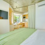 Rent 1 bedroom house of 31 m² in Calheta