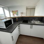 Rent 2 bedroom apartment of 41 m² in Angers