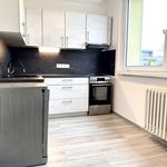 Rent 1 bedroom apartment of 61 m² in Vyškov