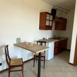 Affitto 1 camera appartamento di 45 m² in Castellucchio