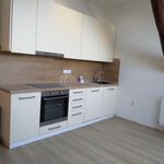 Rent 3 bedroom apartment of 90 m² in Caslav