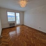 Rent 3 bedroom apartment of 67 m² in Číhošť