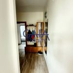 Rent 2 bedroom apartment of 61 m² in Lány