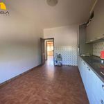 Rent 3 bedroom apartment of 75 m² in Mondovì