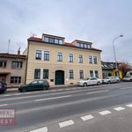 Rent 1 bedroom apartment of 95 m² in Kroměříž
