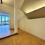 Miete 4 Schlafzimmer wohnung von 160 m² in Bad Vöslau