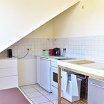 Rent 2 bedroom apartment of 60 m² in Cologne