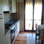 Rent 3 bedroom apartment of 110 m² in Cervia