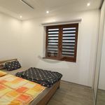 Rent 1 bedroom house of 570 m² in Číhošť