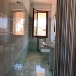 Rent 2 bedroom apartment of 45 m² in Empoli