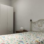 Rent 3 bedroom apartment of 90 m² in Elche