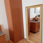 Rent 1 bedroom apartment of 35 m² in Pfungstadt