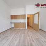 Rent 1 bedroom apartment of 25 m² in Opava