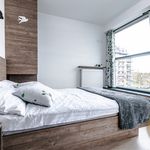 Rent 2 bedroom apartment of 41 m² in Krakow
