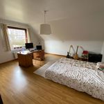 Rent 4 bedroom house of 285 m² in Aalter