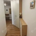 Rent 2 bedroom apartment of 67 m² in Budapest