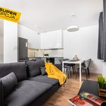 Rent 4 bedroom apartment of 85 m² in Kraków