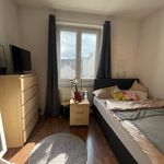 Miete 1 Schlafzimmer wohnung von 16 m² in Wiesbaden