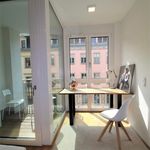Rent 2 bedroom apartment of 30 m² in Dresden