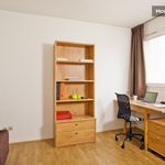 Rent 1 bedroom apartment of 19 m² in Cergy