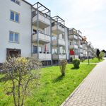 Rent 2 bedroom apartment of 57 m² in Chemnitz