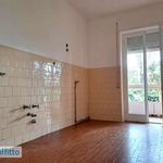 Rent 6 bedroom house of 240 m² in Roma