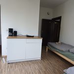 Rent 1 bedroom apartment of 21 m² in Hannover