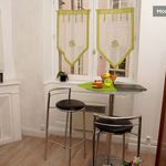 Rent 1 bedroom apartment of 17 m² in Lyon