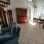 Rent 3 bedroom apartment of 65 m² in Lecce
