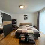 Huur 4 slaapkamer huis van 164 m² in Zottegem