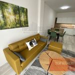 Pronajměte si 2 ložnic/e byt o rozloze 65 m² v Pardubice