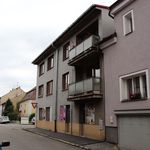 Rent 1 bedroom apartment of 31 m² in Budweis