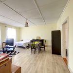 Rent 3 bedroom apartment of 82 m² in MATZENHEIM