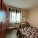 Rent 2 bedroom apartment of 50 m² in Borgia