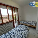Rent 3 bedroom apartment of 63 m² in Massa