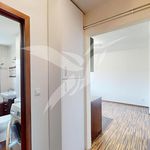 Rent 3 bedroom apartment of 49 m² in Beroun