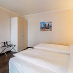 Rent 1 bedroom apartment of 43 m² in Dreieich