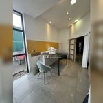 Rent 1 bedroom apartment in Ancenis-Saint-Géréon
