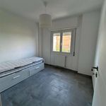 Rent 3 bedroom apartment of 65 m² in Pomezia