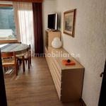Rent 2 bedroom apartment of 45 m² in Pinzolo