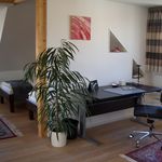Rent 1 bedroom apartment of 40 m² in Sindelfingen