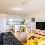 Rent 1 bedroom apartment of 96 m² in Ostrava