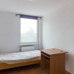 Rent 3 bedroom apartment of 89 m² in Łódź
