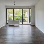 Rent 2 bedroom apartment of 50 m² in Göttingen