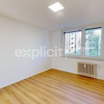 Pronajměte si 3 ložnic/e byt o rozloze 56 m² v Uherské Hradiště
