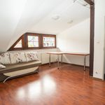 Rent 7 bedroom apartment of 400 m² in Szczecin