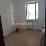 Rent 3 bedroom apartment of 100 m² in Cerveteri