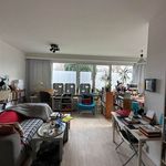 Huur 1 slaapkamer appartement van 59 m² in Antwerpen